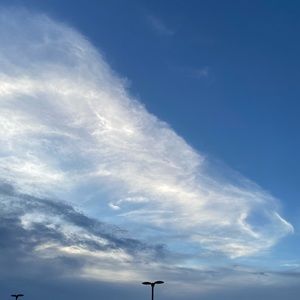 Meet your Posher, Martha